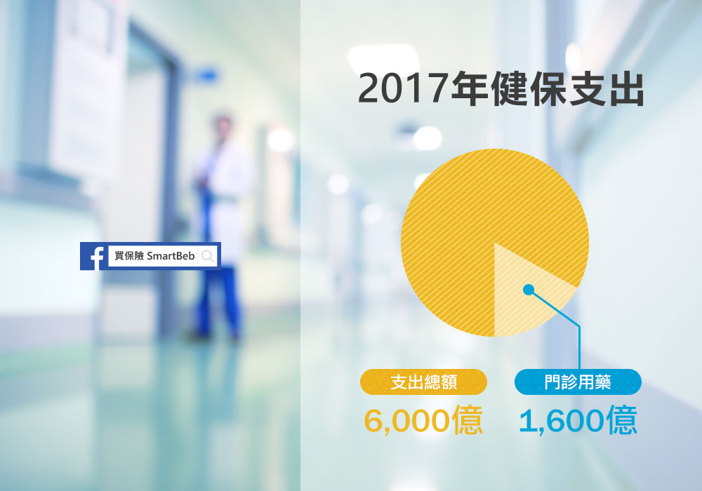 2017年健保支出