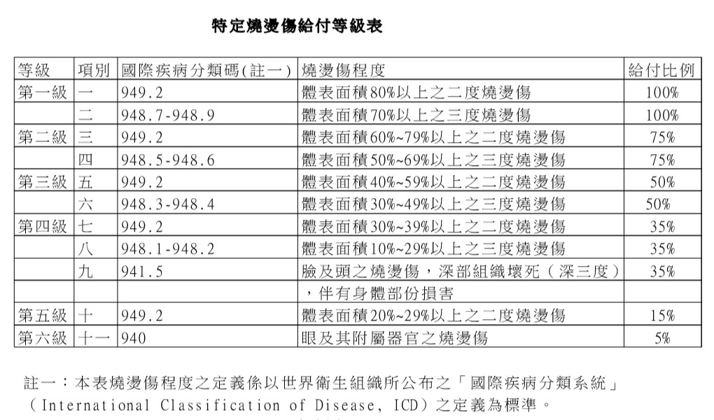 特定燒燙傷給付等級表