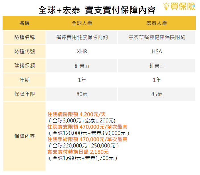 全球宏泰實支保障